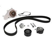 Kit pompa acqua e cinghia di distribuzione INA 530 0239 30 per 2 (DY) 1.4 2003-