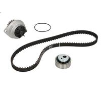 Kit pompa acqua e cinghia di distribuzione INA 530 0252 30 per BX 1.4 1983-1989