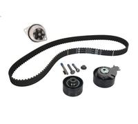 Kit pompa acqua e cinghia di distribuzione INA 530 0379 30 per 301 1.6 2012-2017
