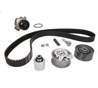 Kit pompa acqua e cinghia di distribuzione INA 530 0463 30 per A3 (8P1) 2 2003-
