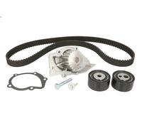 Kit pompa acqua e cinghia di distribuzione INA 530 0474 30 per EXPERT 2 2000-