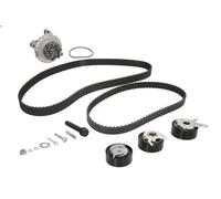 Kit pompa acqua e cinghia di distribuzione INA 530 0483 30 per A6 C4 2.5 1995-