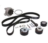 Kit pompa acqua e cinghia di distribuzione INA 530 0484 31 per S70 2.5 1997-2000