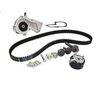 Kit pompa acqua e cinghia di distribuzione INA 530 0495 30 per 2 (DY) 1.3 2003-