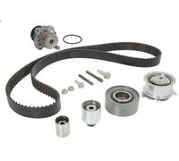 Kit pompa acqua e cinghia di distribuzione INA 530 0503 30 per A3 (8P1) 2 2003-