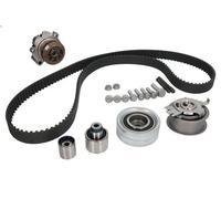 Kit pompa acqua e cinghia di distribuzione INA 530 0550 32 per A3 (8P1) 2 2003-