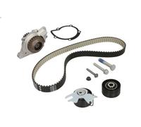Kit pompa acqua e cinghia di distribuzione INA 530 0558 31 per RCZ 2 2010-2015