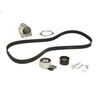 Kit pompa acqua e cinghia di distribuzione INA 530 0562 30 per 159 2 2009-2011