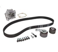 Kit pompa acqua e cinghia di distribuzione INA 530 0582 30 per C30 (533) 2 2010-