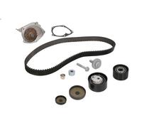 Kit pompa acqua e cinghia di distribuzione INA 530 0638 30 per DUSTER 2 2011-