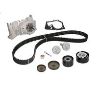 Kit pompa acqua e cinghia di distribuzione INA 530 0639 30 WIND (E4M_) 1.6 2010-