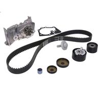Kit pompa acqua e cinghia di distribuzione INA 530 0640 30 per DUSTER 1.6 2010-