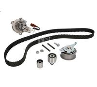 Kit pompa acqua e cinghia di distribuzione INA 530 0650 30 per A5 (8T3) 2 2008-