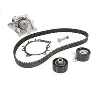 Pompa dell'acqua + kit cinghia di distribuzione INA 530 0691 30