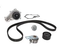Kit pompa acqua e cinghia di distribuzione INA 530 0698 30 per DS5 1.6 2014-2015