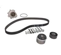 Kit pompa acqua e cinghia di distribuzione INA 530 0724 30 per 9-5 1.6 2010-2012