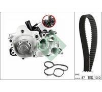 Kit pompa acqua e cinghia di distribuzione INA 530 0742 30 per A1 1.4 2012-2015