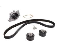 Kit pompa acqua e cinghia di distribuzione INA BOXER Furgone (244) 2.2 2001-2006