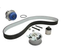 Kit pompa acqua e cinghia di distribuzione SKF VKMC 01250-1 per A3 (8P1) 2 2005-