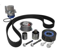 Kit pompa acqua e cinghia di distribuzione SKF VKMC 01263-1 per A3 (8P1) 2 2003-