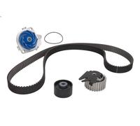 Kit pompa acqua e cinghia di distribuzione SKF VKMC 02194 per 156 1.9 2000-2001