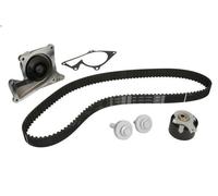 Kit pompa acqua e cinghia di distribuzione SKF VKMC 06134-3 per NOTE 1.5 2006-