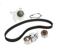 Kit pompa acqua e cinghia di distribuzione SKF VKMC 95660-2 per TRAJET 2 2001-