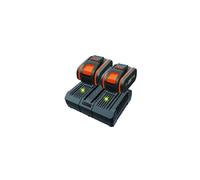 Kit power 20+20 WORX con 2 batterie da 4.0 Ah + caricabatterie DUAL STANDARD