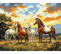 Kit Punto Croce Cavalli E Pony Sull'Erba 30x40cmschemi Quadri Set Ricamo Punto Croce Kit Da Ricamare Principianti Starter Prestampato Stampato Completo Bambini Cross Stitch Embroidery Ricami