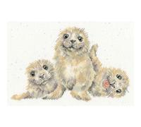 Kit punto croce contato Bothy Threads "Seal Of Approval", XHD131, 30x20cm