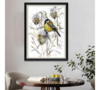 Kit punto croce contato con dimensioni di uccelli timbrati per principianti di