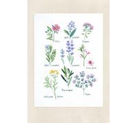 Kit punto croce contato DMC "Erbe", 23,7x35cm