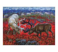 Kit punto croce contato RTO "Legge della Tundra", 38,5x28,5 cm, fai da te