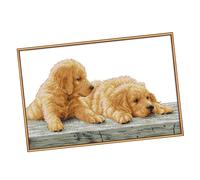 Kit Punto Croce Dimensioni Animali Cani per Principianti 11 14 Contato Stampato