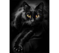 Kit Punto Croce Nuove Versioni Kit Di Ricamo Fai Da Te Fatto A Mano Cucito Kit Da Cucito Simpatico Gatto Nero Cross Stitch Kits Needlework Diy Embroidery Kit