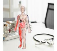 Kit puzzle del corpo umano per bambini figura di anatomia per bambini in età