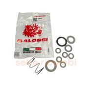 KIT RASAMENTI MOLLA MALOSSI GUSCI MOZZO VARIATORE PIAGGIO CIAO SI BRAVO BOXER