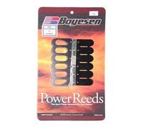 Kit Reed Boyesen A Sei Petali Per Johnson Evinrude 140 HP Motore Fuoribordo B146