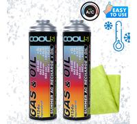 Kit refrigerante A/C 2x 2 in 1 per Cool5 sostituzione R12/R134a + Microfibra