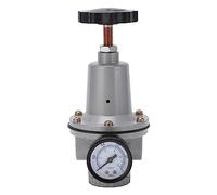 Kit regolatore di pressione del efficiente con valvola di riduzione dell'aria pneumatica (QTY-10)