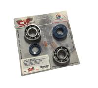 KIT REVISIONE ALBERO CARTER MOTORE SCOOTER 50 CC MINARELLI YAMAHA MBK MALAGUTI