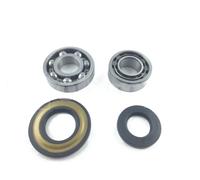 Kit revisione albero cuscinetti e paraoli motore Piaggio Ape MP 501 P601