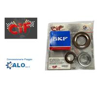 KIT REVISIONE ALBERO MOTORE APE 703 CUSCINETTI E PARAOLI