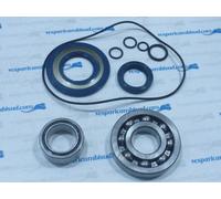 KIT REVISIONE ALBERO MOTORE C/PARAOLI CORTECO VESPA PX 125-150-20Vesparicambisud