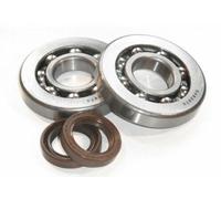 KIT REVISIONE ALBERO MOTORE CIF CUSCINETTO+PARAOLIO GILERA RUNNER FX-FXR 125