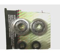 KIT REVISIONE ALBERO MOTORE CUSCINETTI E PAROLIO PEUGEOT SPEEDFIGHT ELYSEO ECC..