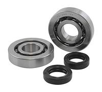 KIT REVISIONE ALBERO MOTORE CUSCINETTI NTN GABBIA IN ACCIAIO E PARAOLI PIAGGIO ZIP SP GILERA RUNNER 50 100200312