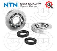KIT REVISIONE ALBERO MOTORE CUSCINETTI NTN + PARAOLI PIAGGIO HEXAGON LXT 180 2T