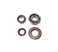 KIT REVISIONE ALBERO MOTORE CUSCINETTI PARAOLI APE TM 703 COD.58027