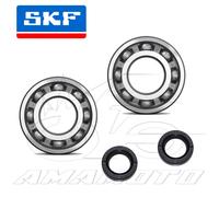 KIT REVISIONE ALBERO MOTORE CUSCINETTI-PARAOLI PIAGGIO NRG PUREJET-MC2 50 2T